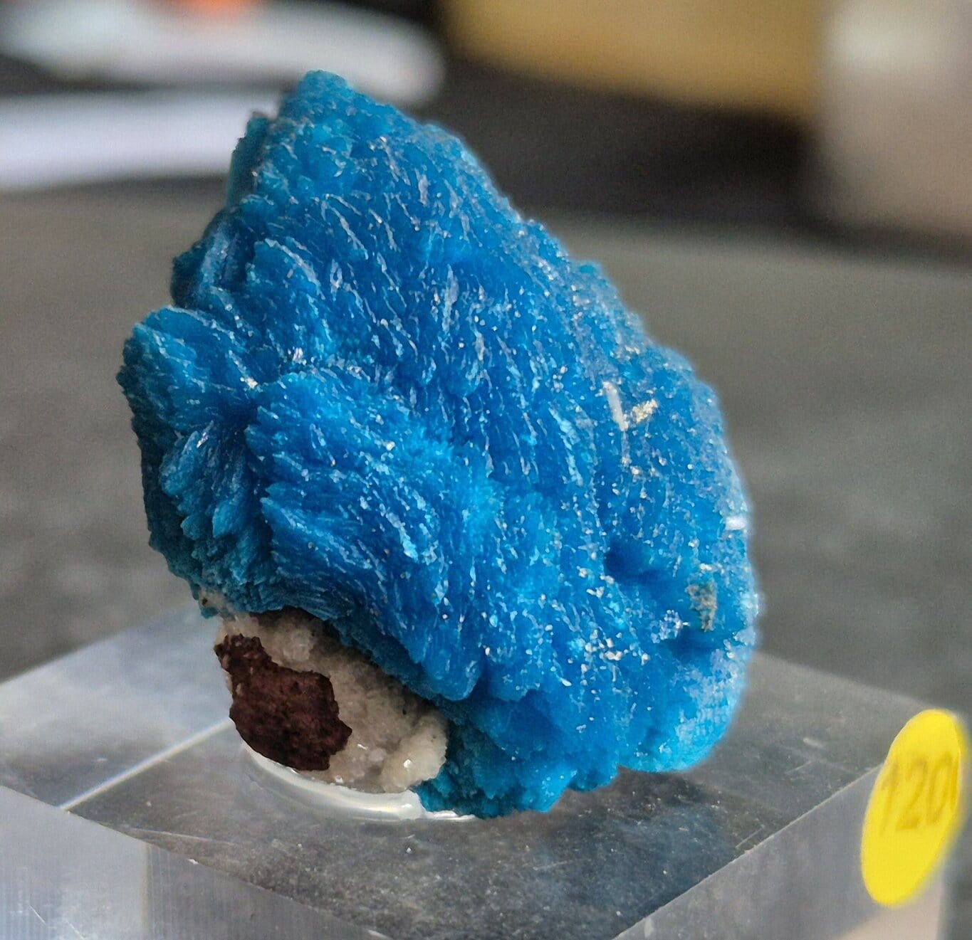 Cavansite Wagholi