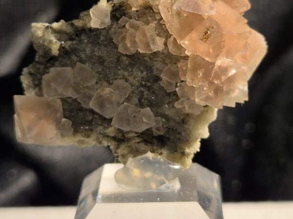 Fluorite rose Glacier Talèfre