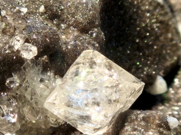 Septarias à Quartz