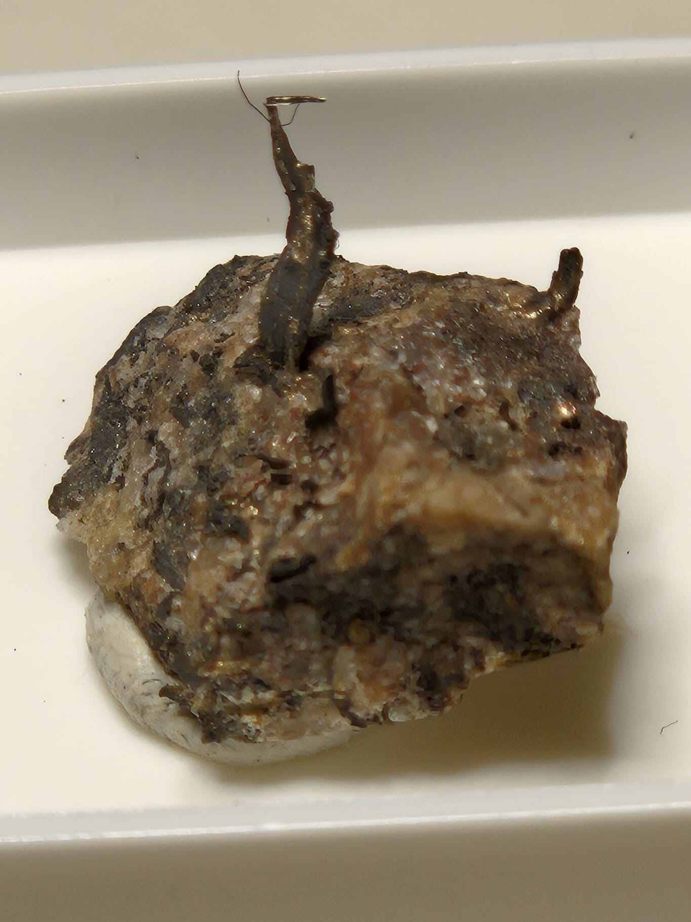 Argent natif filament sur guangue