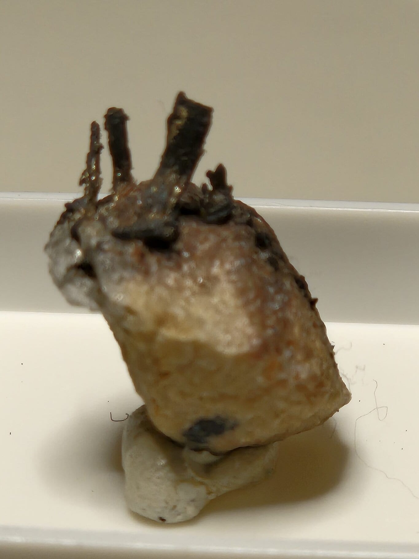 Argent natif filament – Image 2