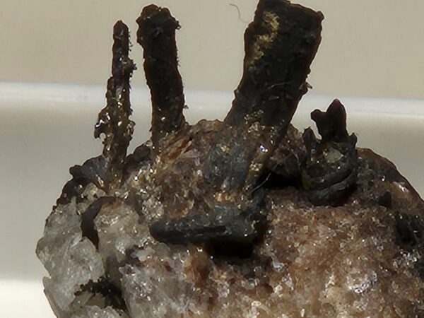 Argent natif filament