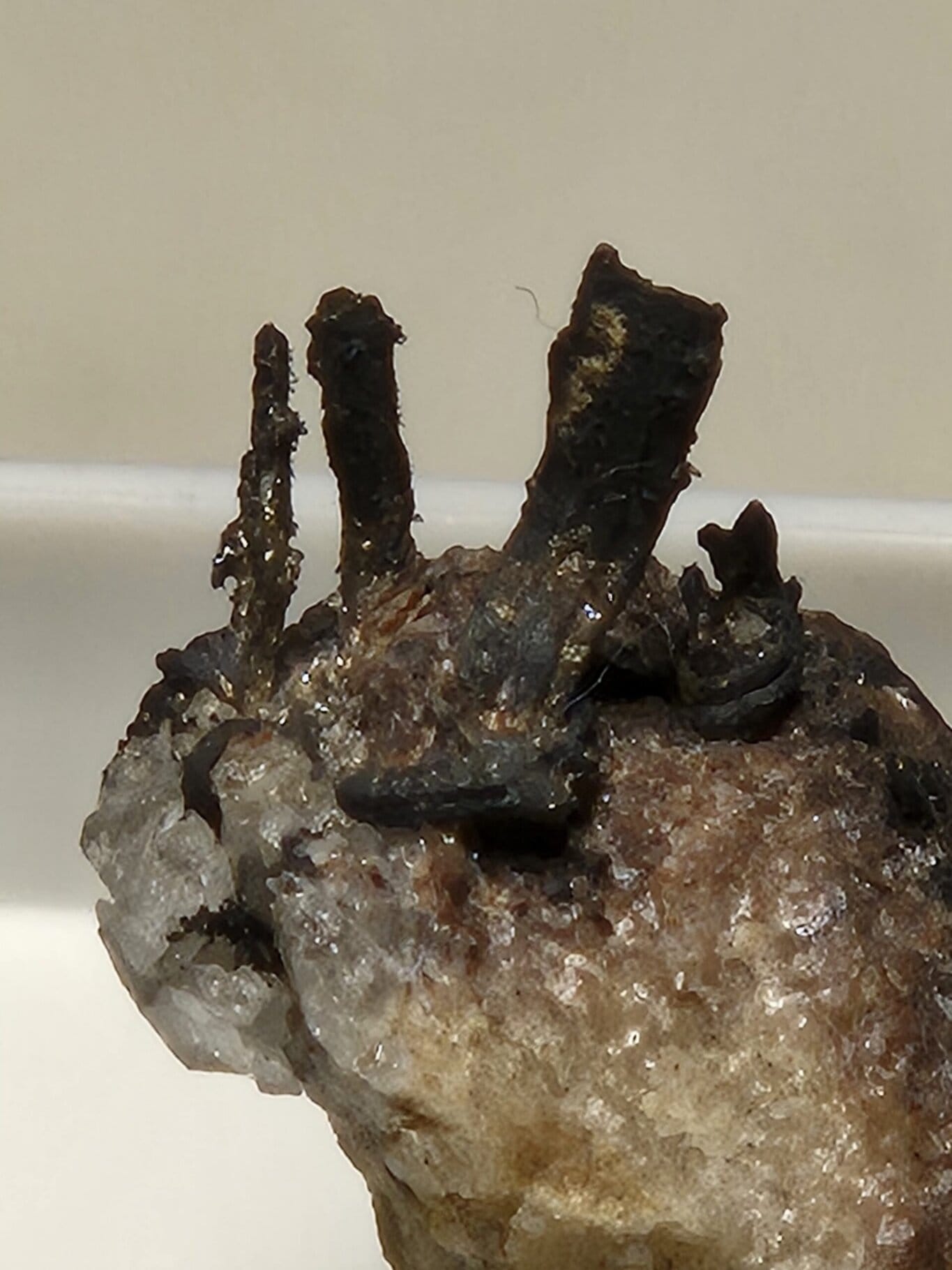 Argent natif filament