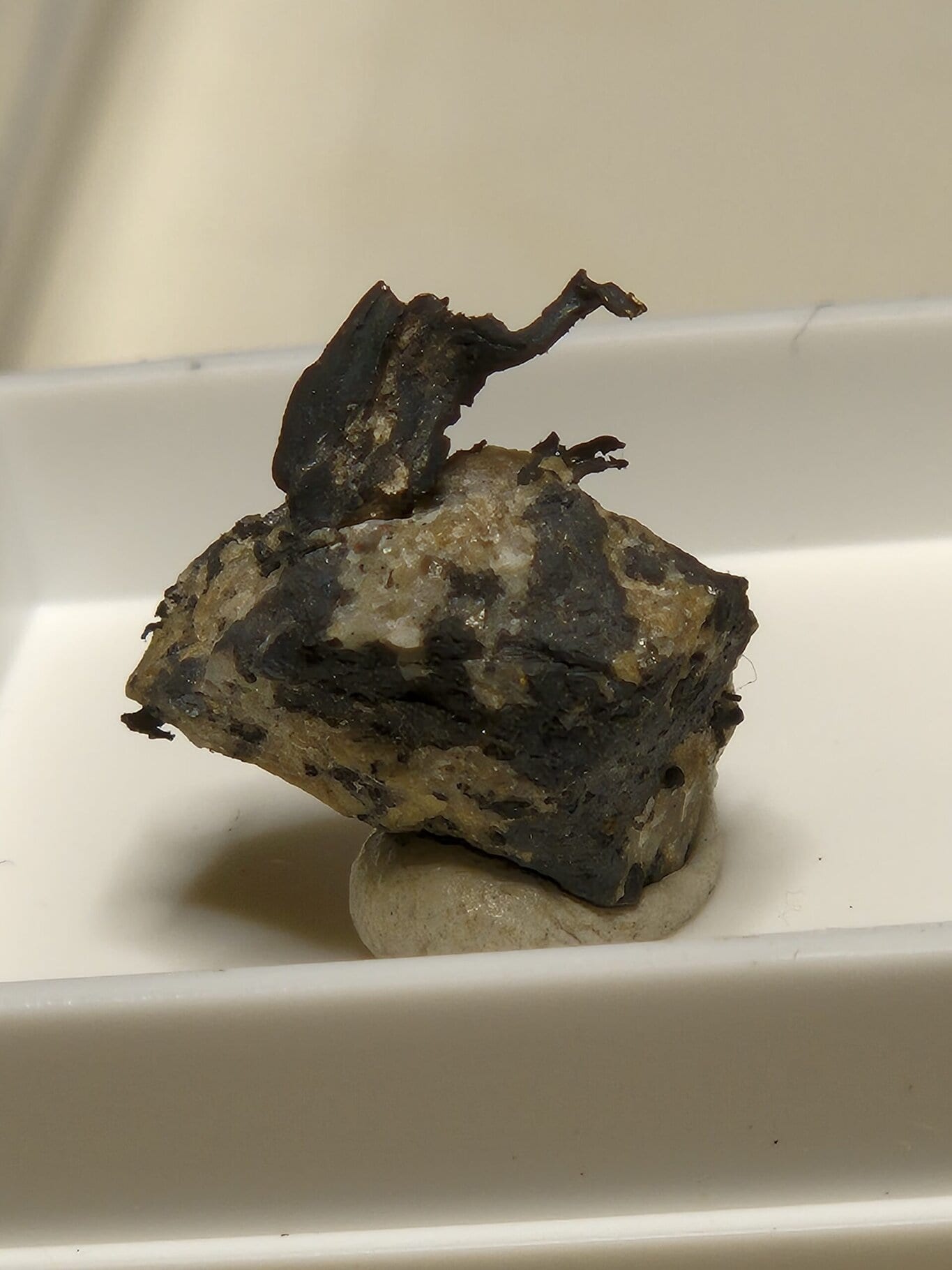 Argent filament natif