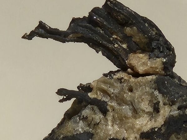 Argent filament natif