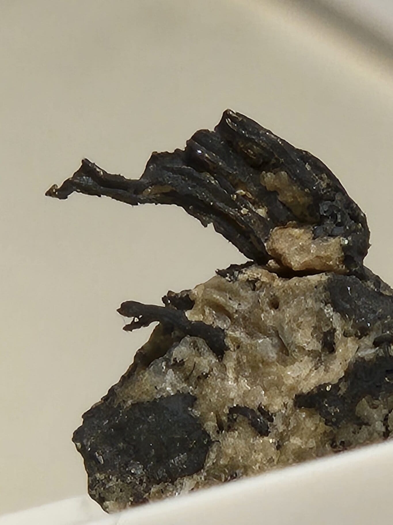 Argent filament natif