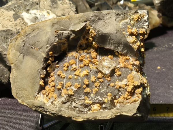 Ankérite et Quartz Septarias