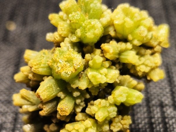 Pyromorphite Guillin