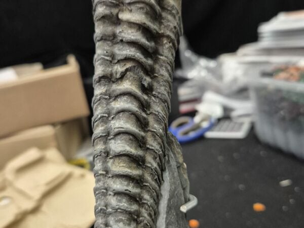 Neseuretus Bain de Bretagne