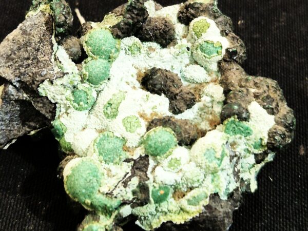 malachite botryodale