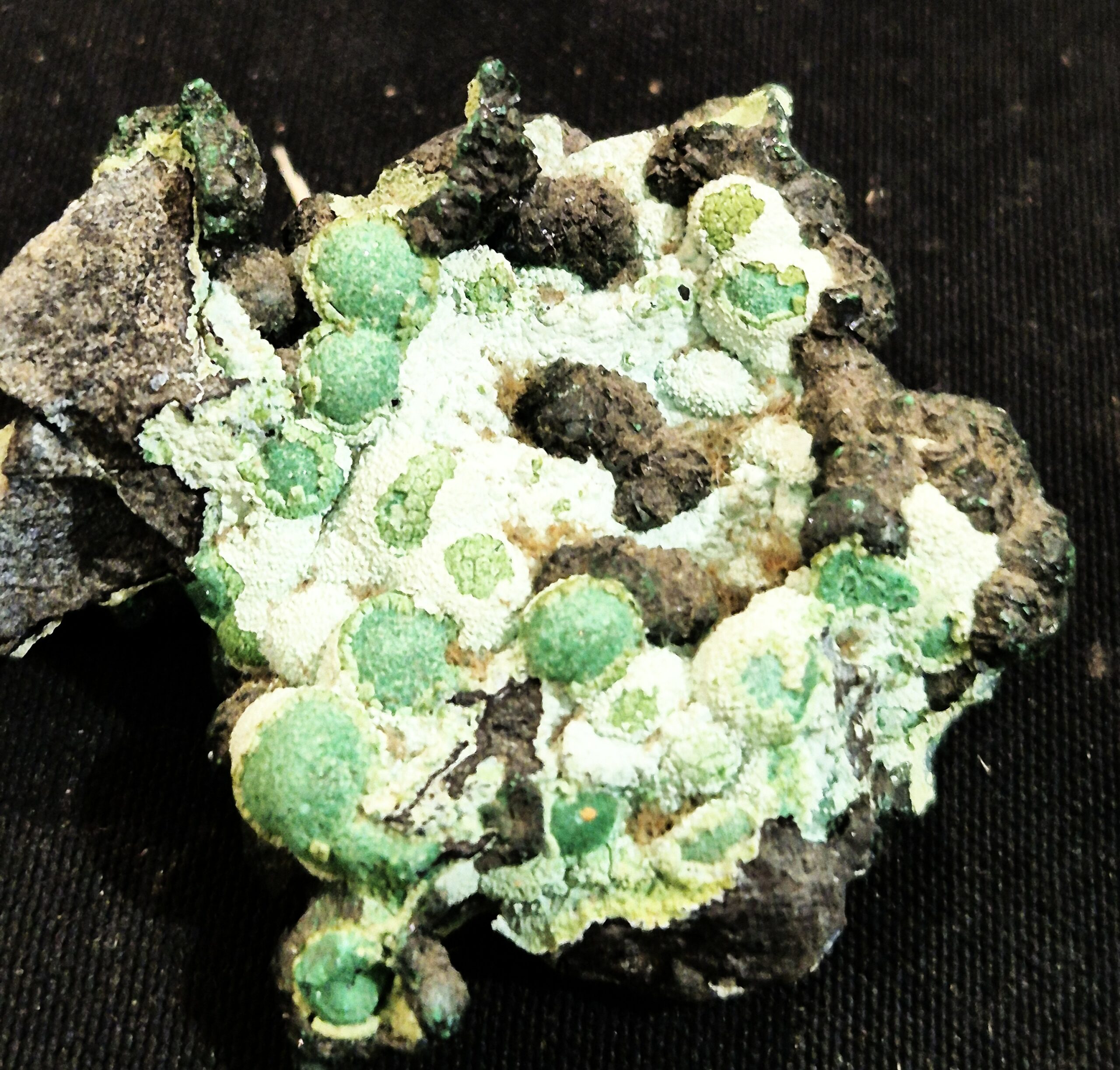 malachite botryodale