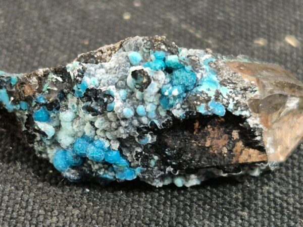 Chrysocolle botryoide