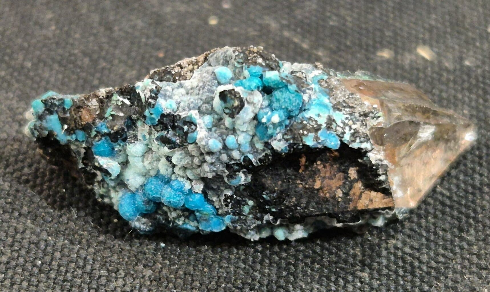 Chrysocolle botryoide