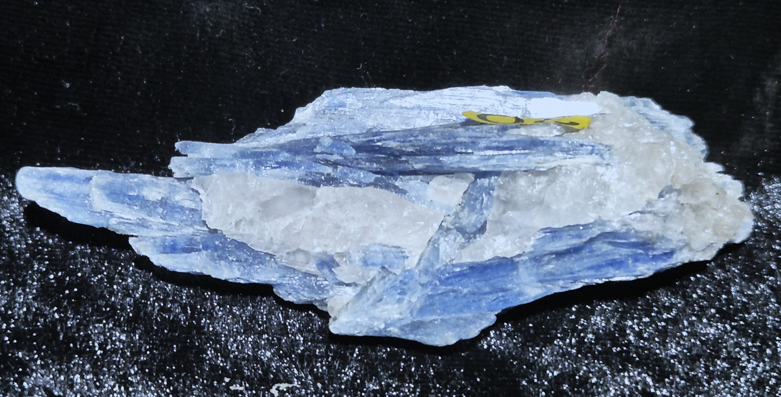 Cyanite Minas Gerais