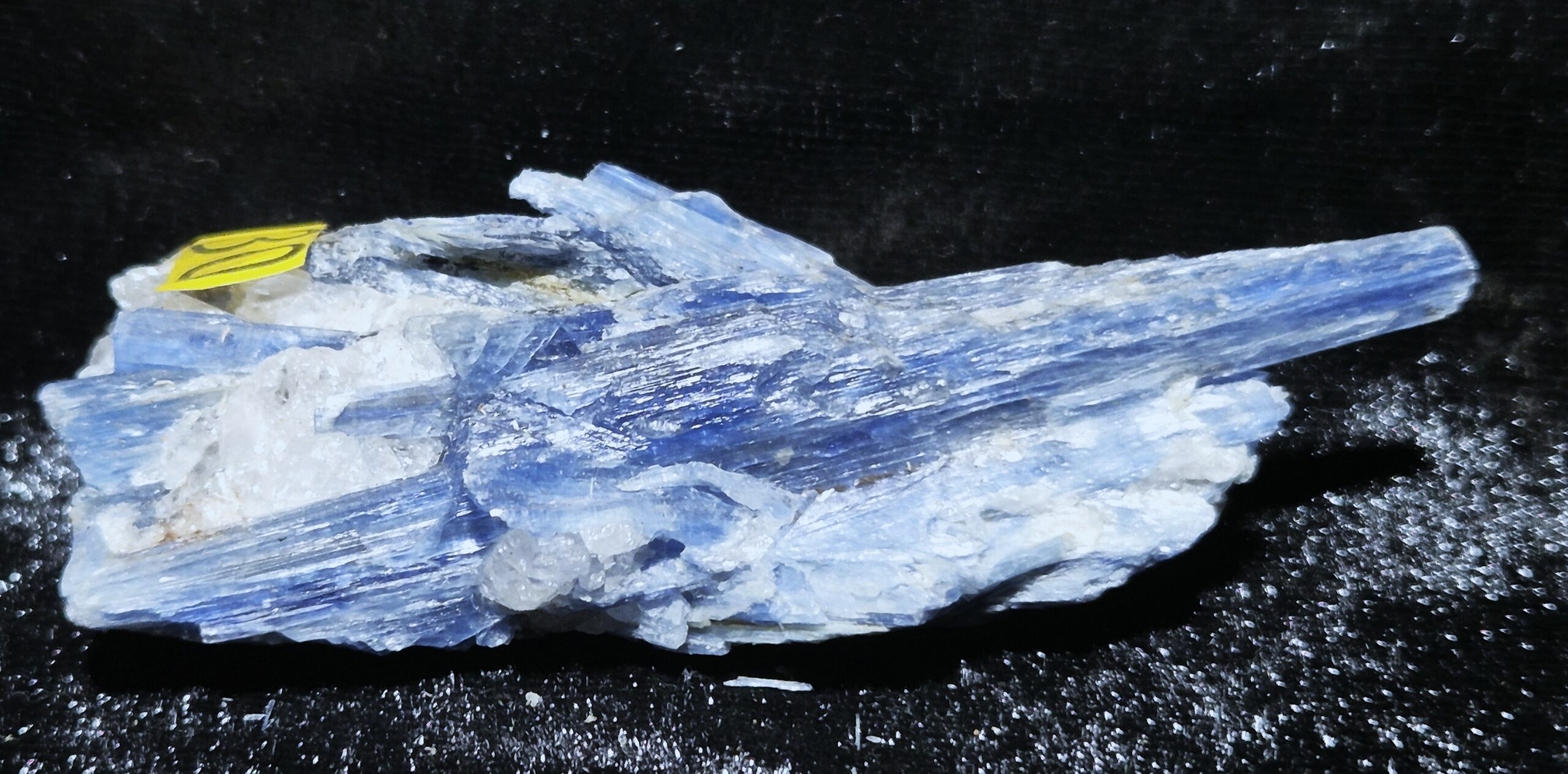 Cyanite Brésil