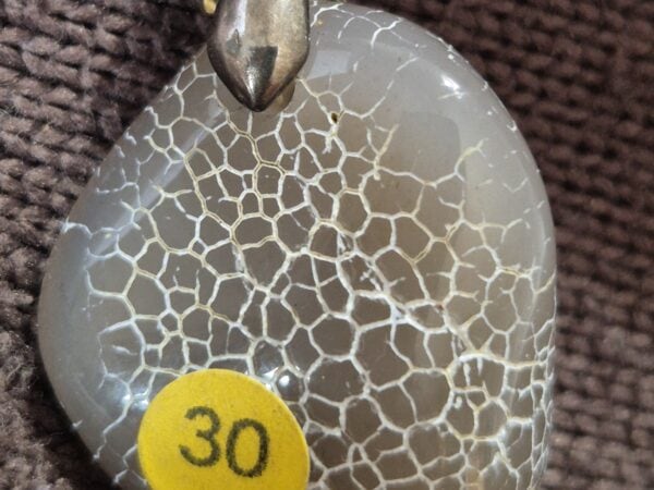 Agate snake skin Oregon
