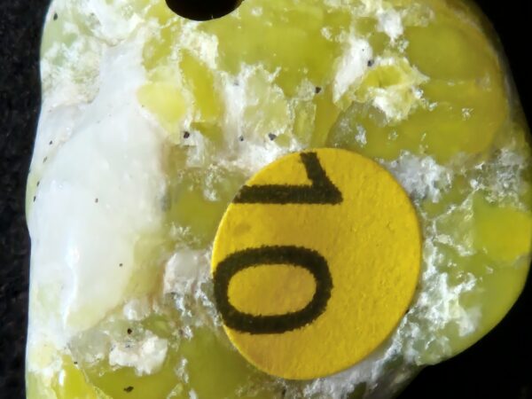 Lizardite Norvège percée frontale