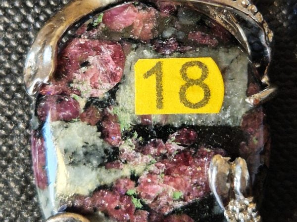 Eudialyte ovale griffe