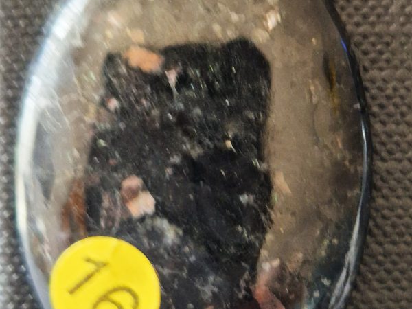 Astrophyllite ovale Norvège