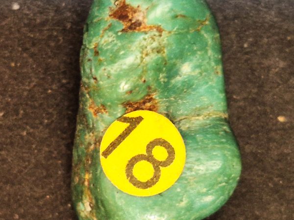 Turquoise percée Nevada