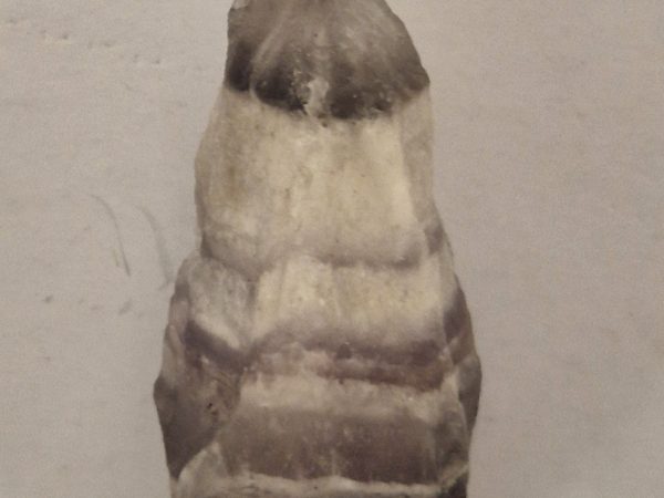 Auralite Brésil