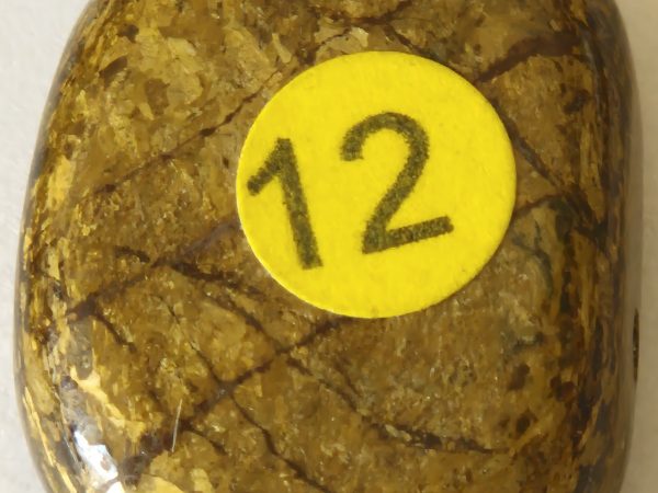 Bronzite ovale percée