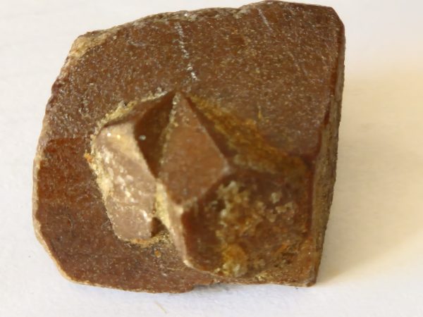 Staurotide Finistère