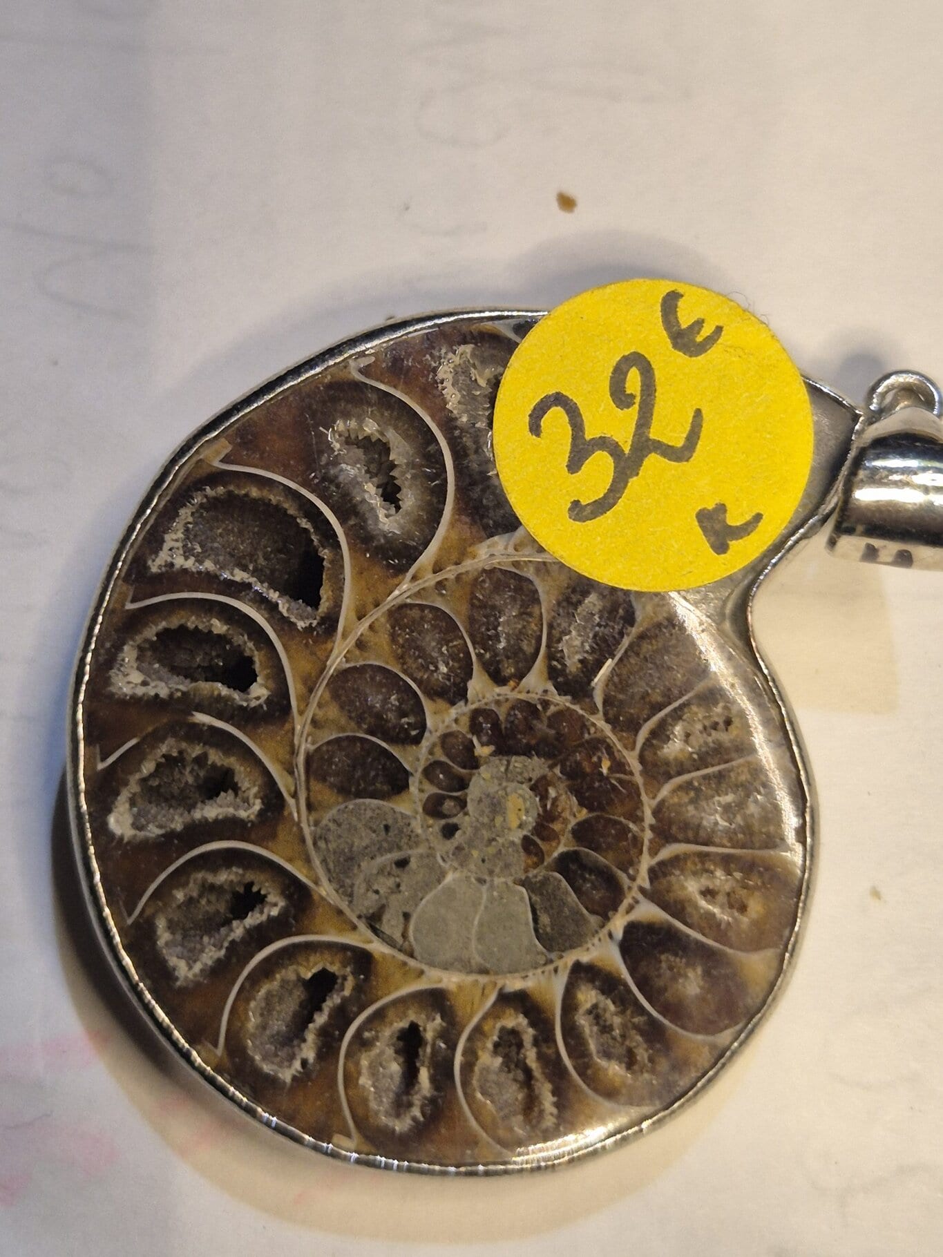 Ammonite sciée pendentif