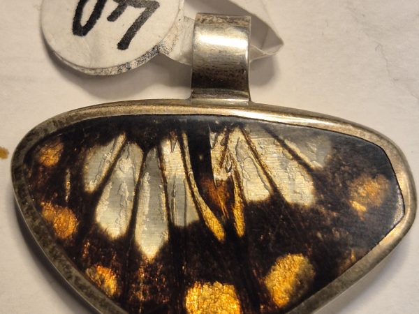 Aile de papillon argent
