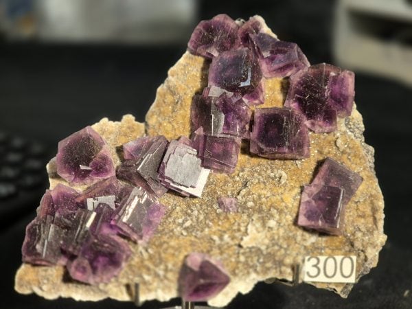 Fluorine Chine Anhui