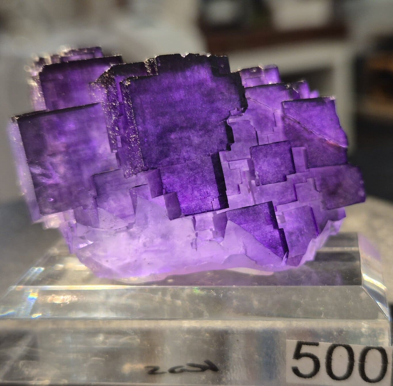 Fluorine Chine du Xinjiang