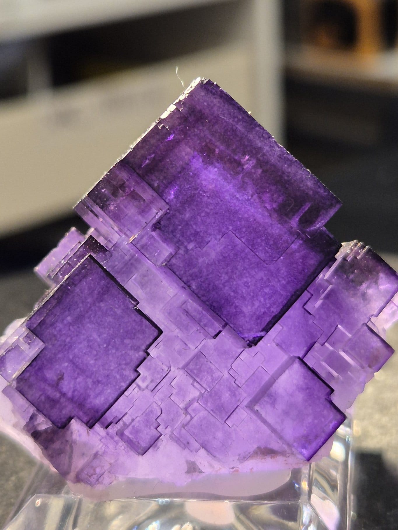 Fluorine Chine Akesu district