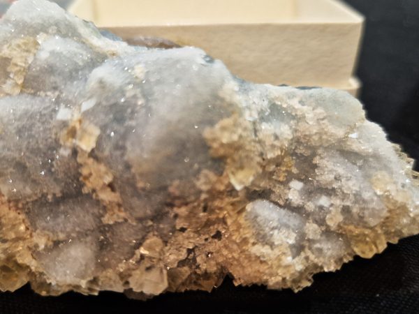 Fluorine bicolore la Barre
