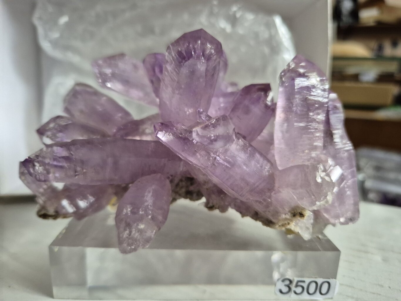 Améthyste violette Mexique