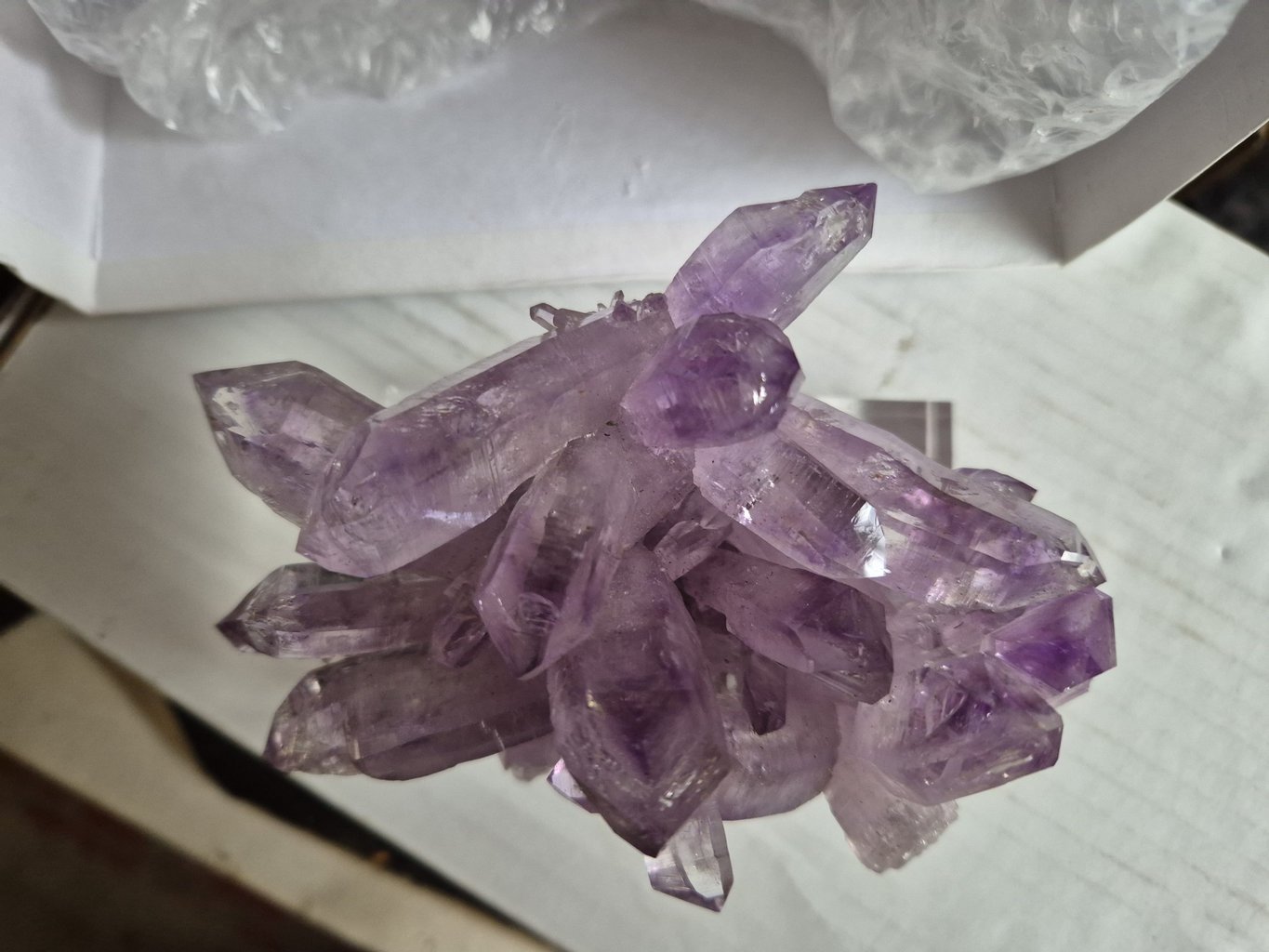 Améthyste violette Mexique