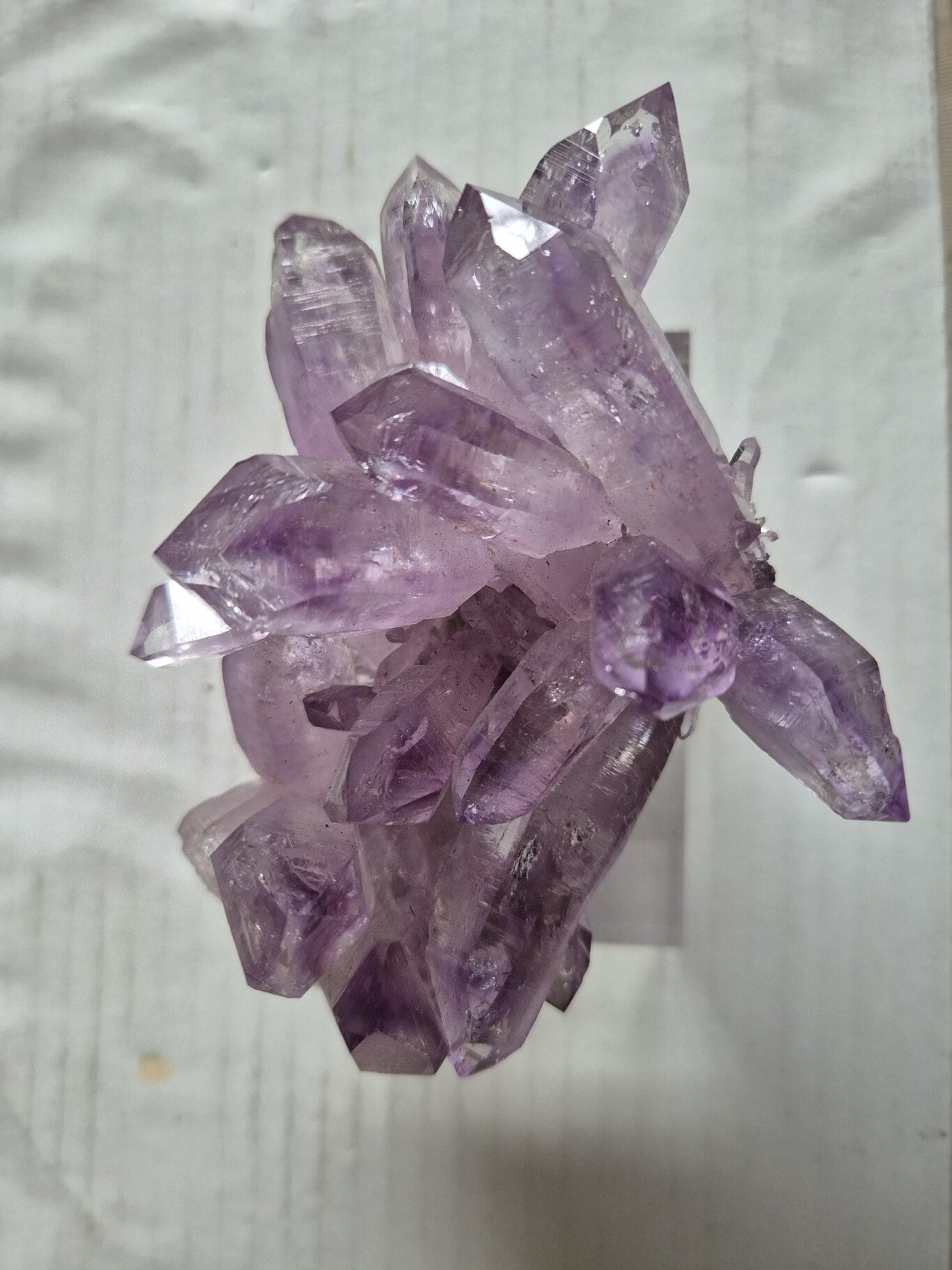 Améthyste violette Mexique