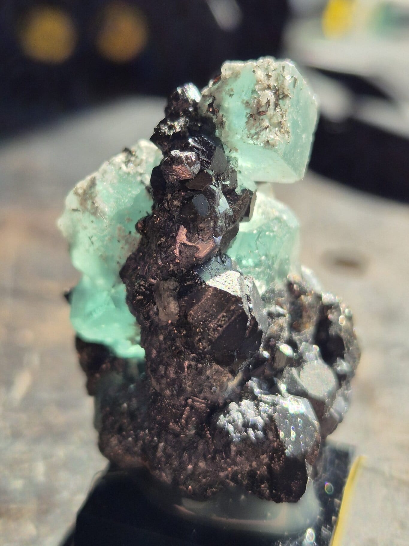 Fluorite Milpo n39