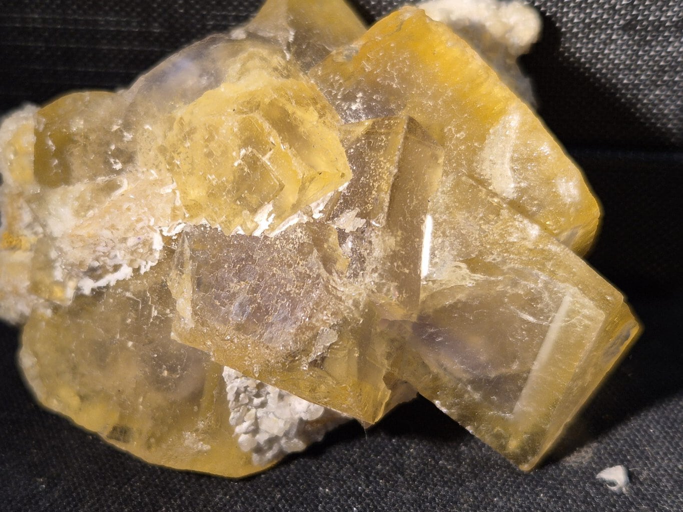 Fluorine du Beix – Image 4