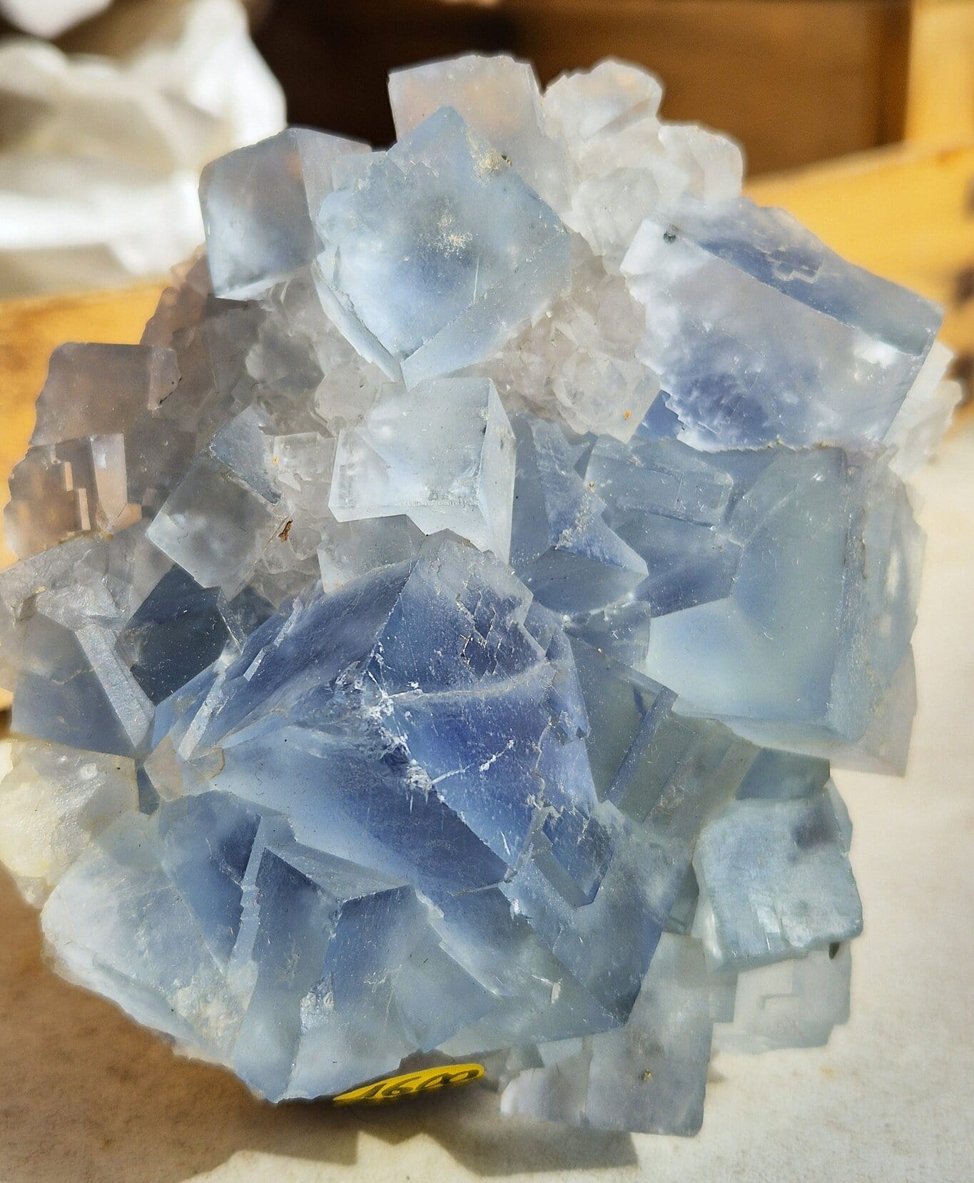 Fluorite bleue du Burc