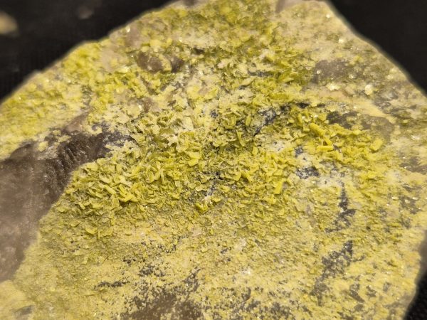 Autunite 5
