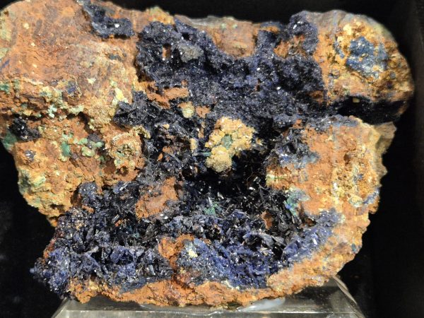 Azurite cristallisée Bisbee USA