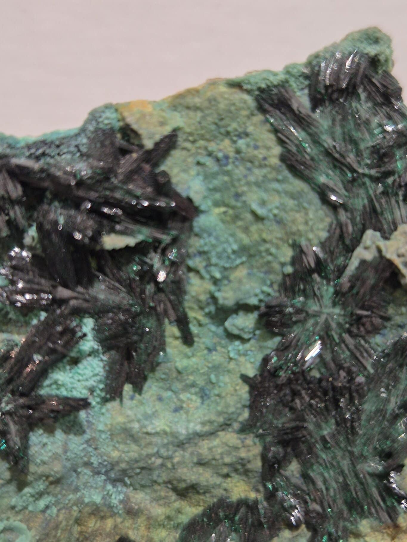 Atacamite Chili Atacama
