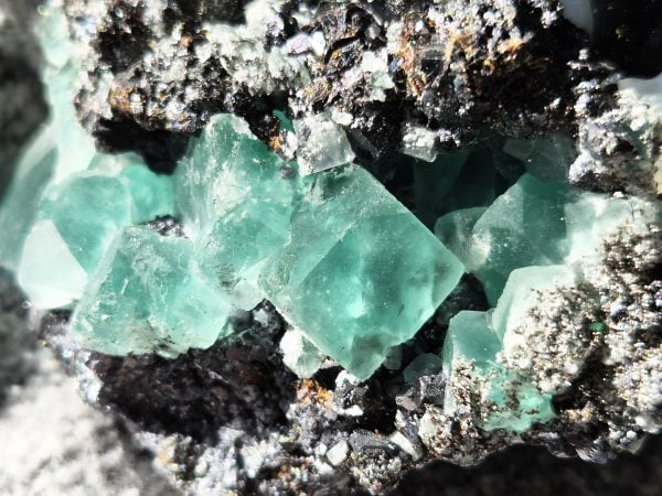 Fluorite Milpo n47