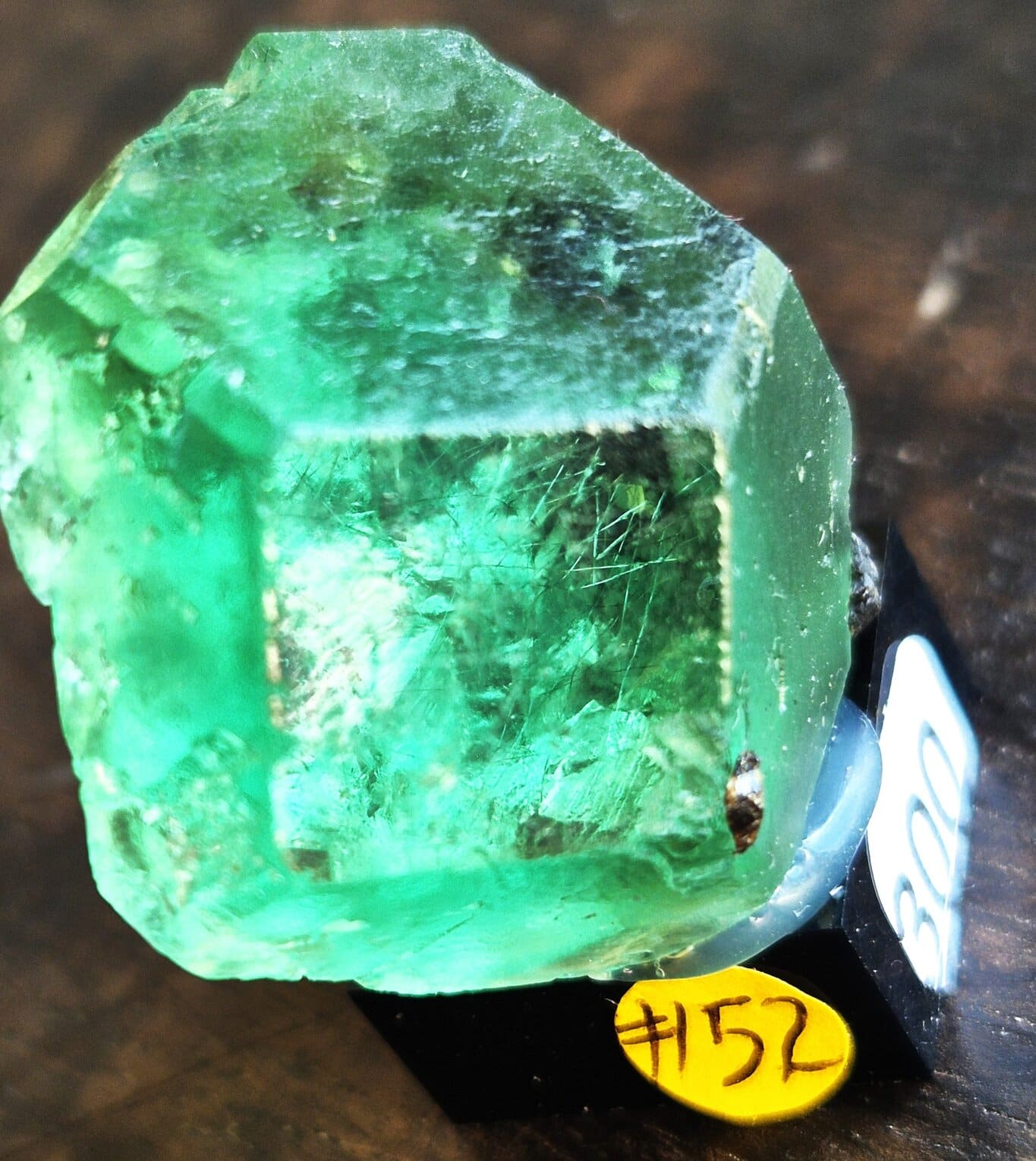 Fluorite Milpo n52