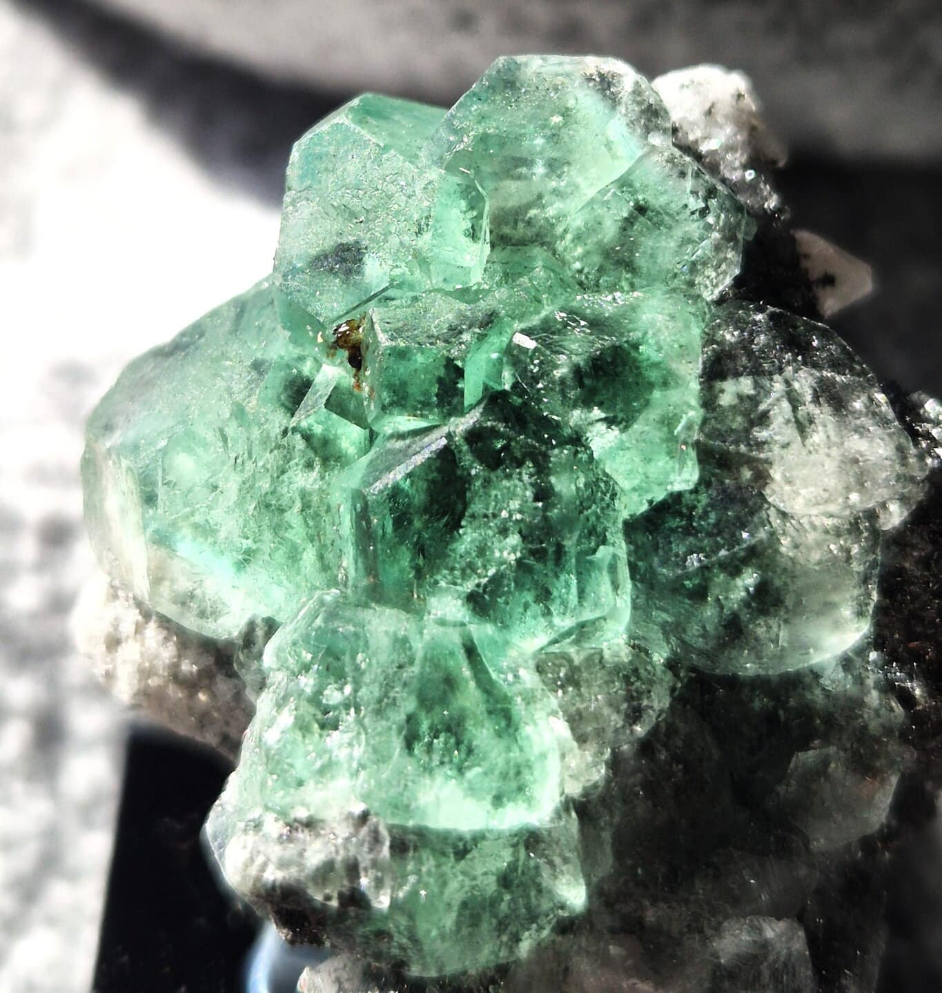 Fluorite Milpo n53 – Image 2