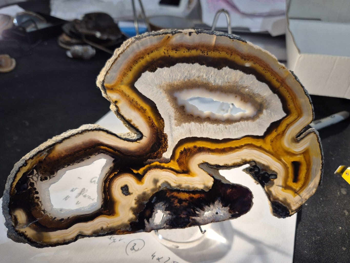 Agate Brésil extra 7