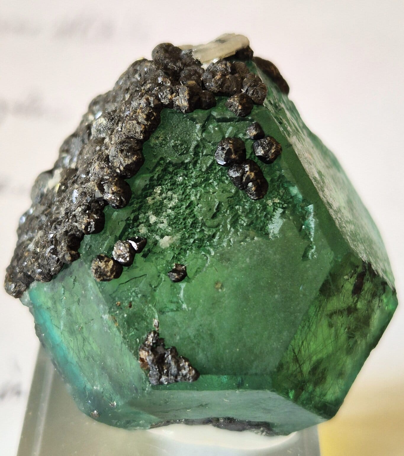 Fluorite Milpo n63