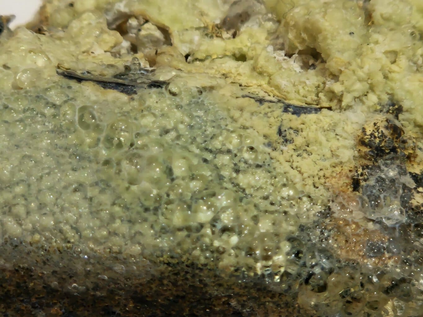 Opale verte hyalite – Image 5