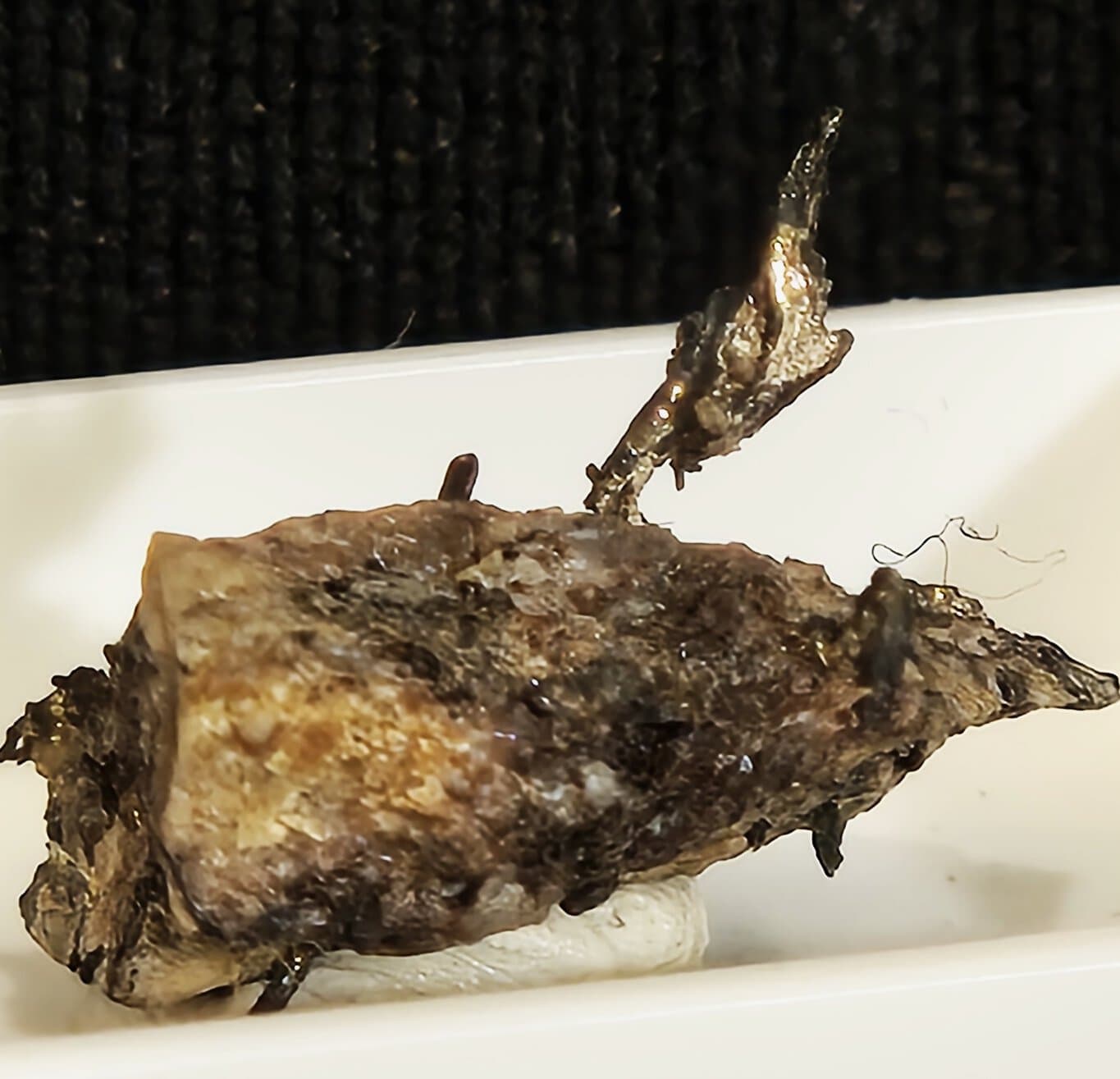 Argent natif Pérou n3 – Image 2