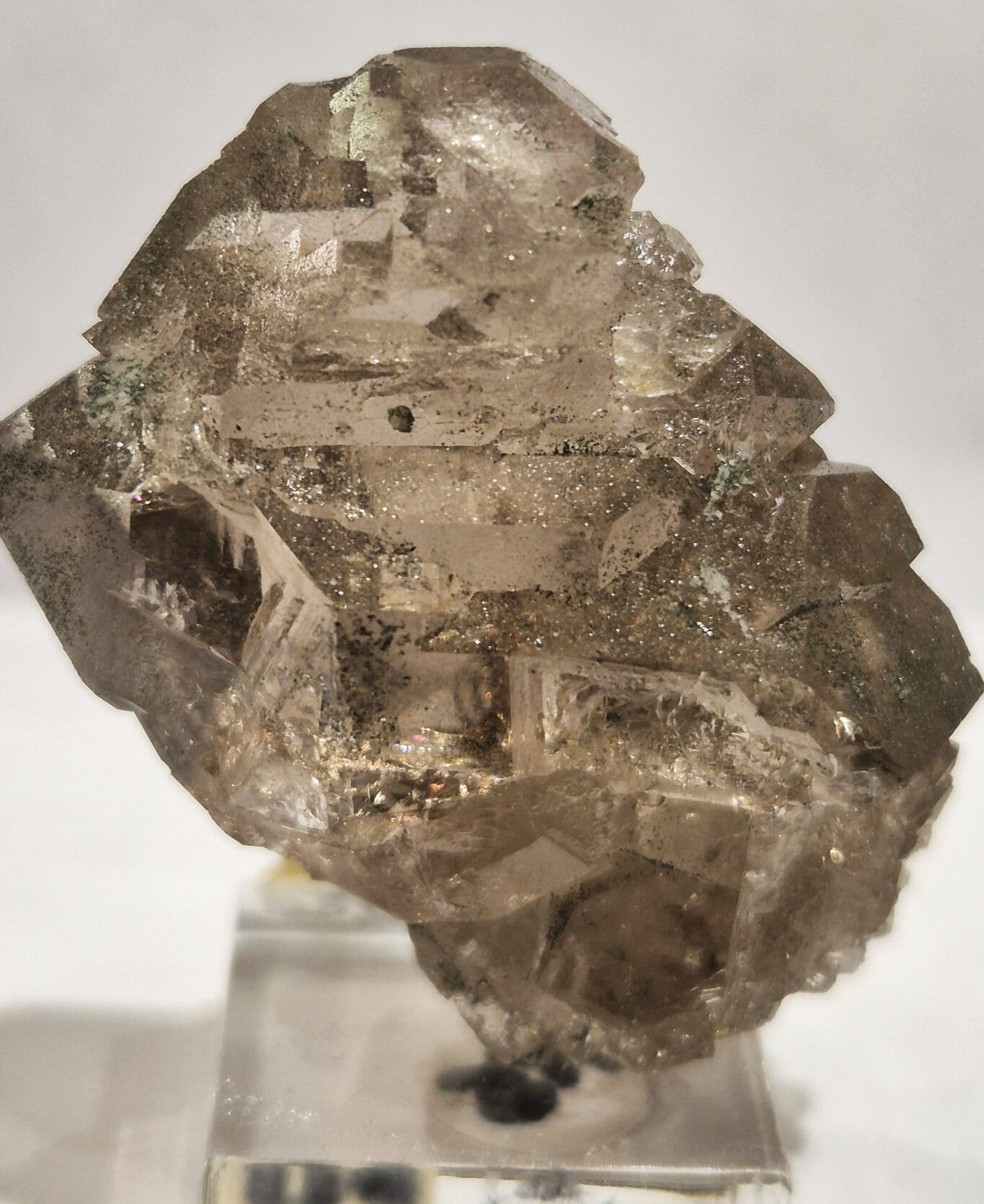 Quartz âme Talèfre – Image 2